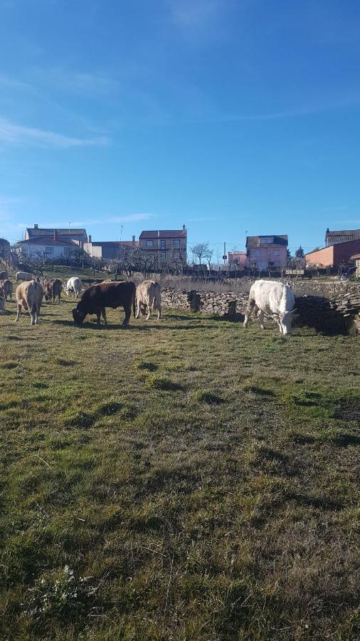 Albergue Agustina Samir de los Canos エクステリア 写真